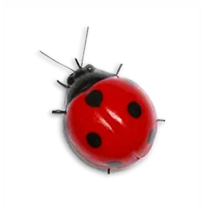 Magnet coccinelle POC 2026